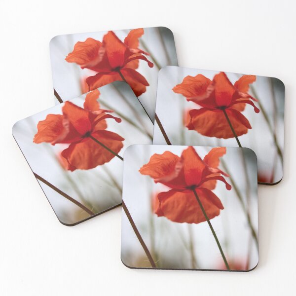 Item preview, The Shaky Poppy. Theologos. Thassos 2023 73 designed and sold by Jouko Lehto Photography.