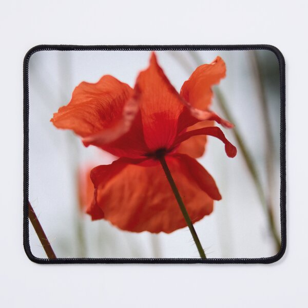 Item preview, The Shaky Poppy. Theologos. Thassos 2023 73 designed and sold by Jouko Lehto Photography.