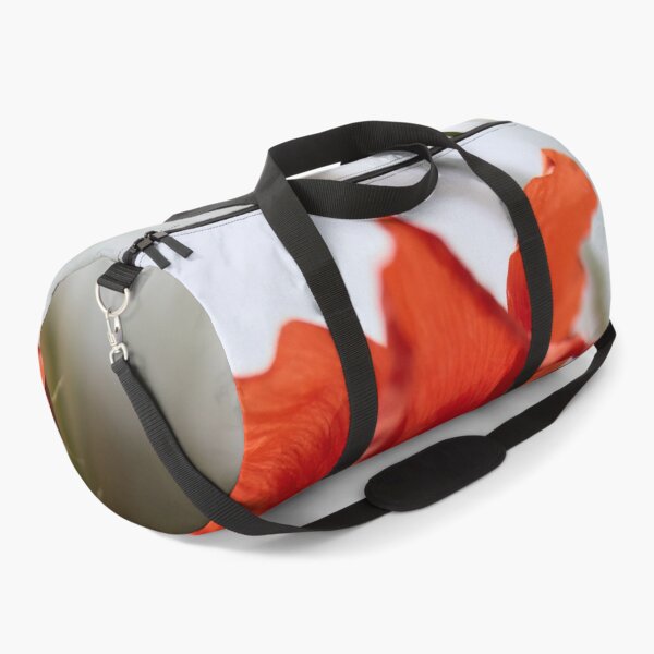 Item preview, The Shaky Poppy. Theologos. Thassos 2023 73 designed and sold by Jouko Lehto Photography.