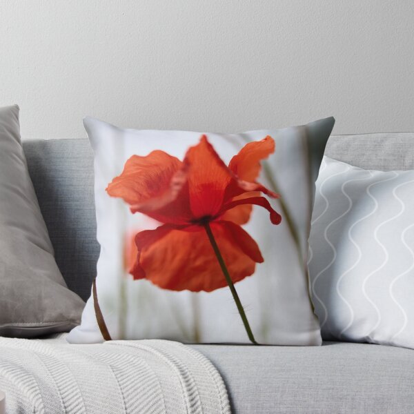 Item preview, The Shaky Poppy. Theologos. Thassos 2023 73 designed and sold by Jouko Lehto Photography.