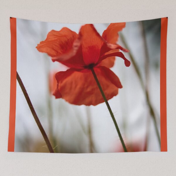 Item preview, The Shaky Poppy. Theologos. Thassos 2023 73 designed and sold by Jouko Lehto Photography.