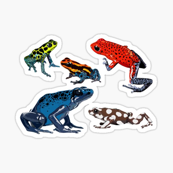 Okopipi Blue Poison Arrow or Dart Frog - Frog Gift Idea - Sticker