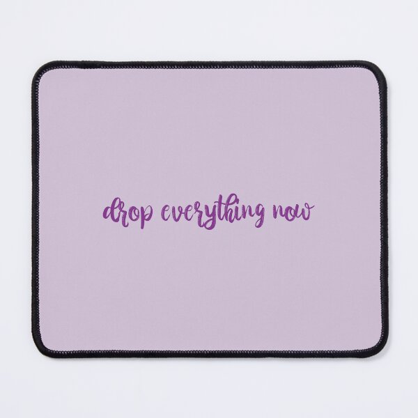 Item preview, Drop everything now Sparks Fly Lyrics Taylor Swift designed and sold by BoldNFresh.