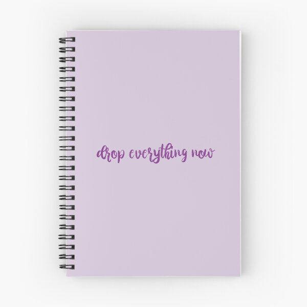 Item preview, Drop everything now Sparks Fly Lyrics Taylor Swift designed and sold by BoldNFresh.