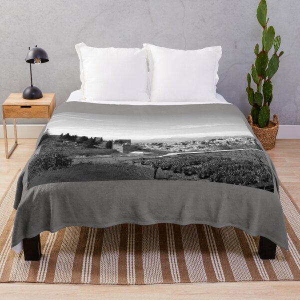 Item preview, Generalife gardens, Alhambra, and Albaicin, monochrome designed and sold by paulboizot.