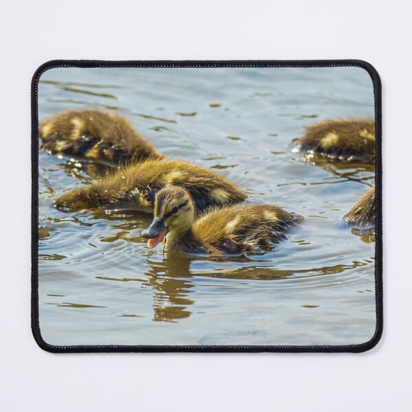 Item preview, Happy Duckling designed and sold by TinyDinoDesigns.