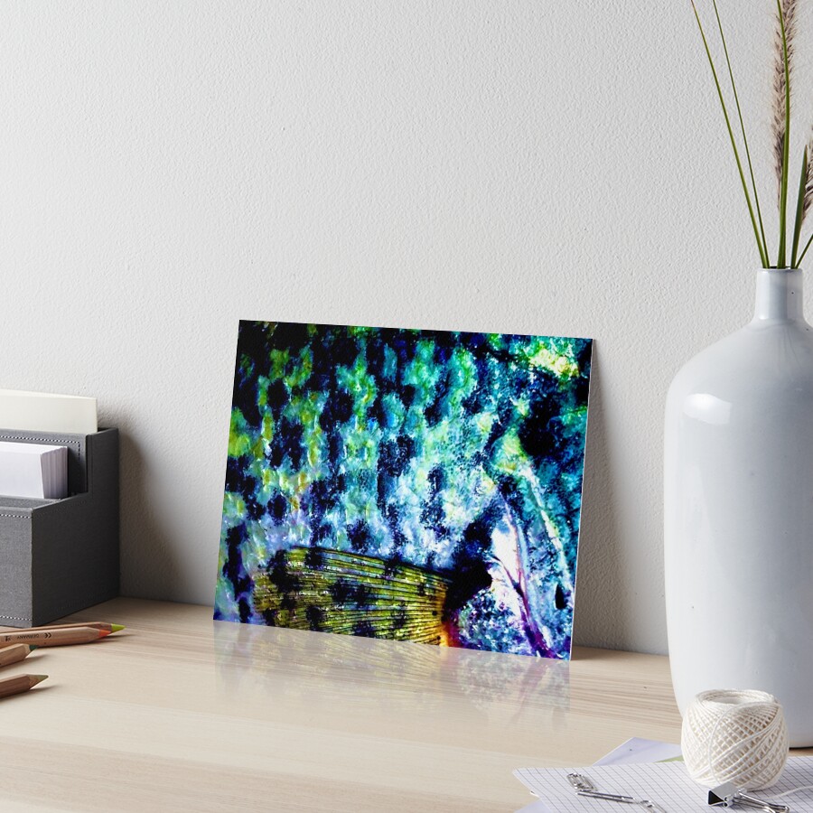 Item preview, Art Board Print designed and sold by CJRPics.