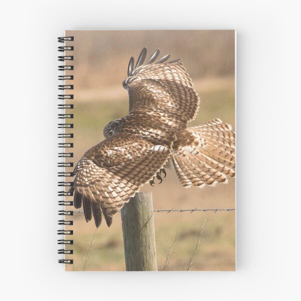 Item preview, Red Tailed Hawk designed and sold by SuddenJim.