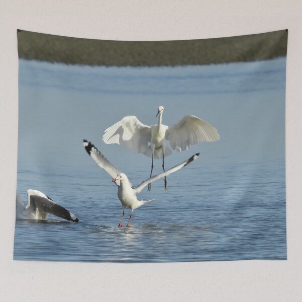 Item preview, Egret and seagulls fishing designed and sold by Mark Grimsley.