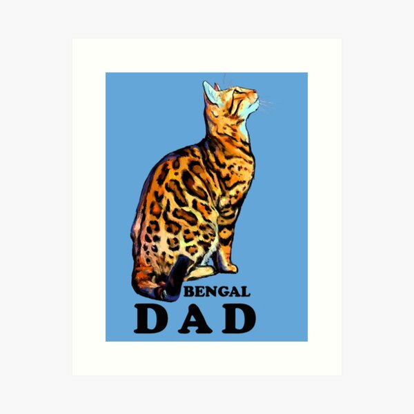 : Domestic Brown Rosetted Bengal Cat - Bengal Dad - Cats