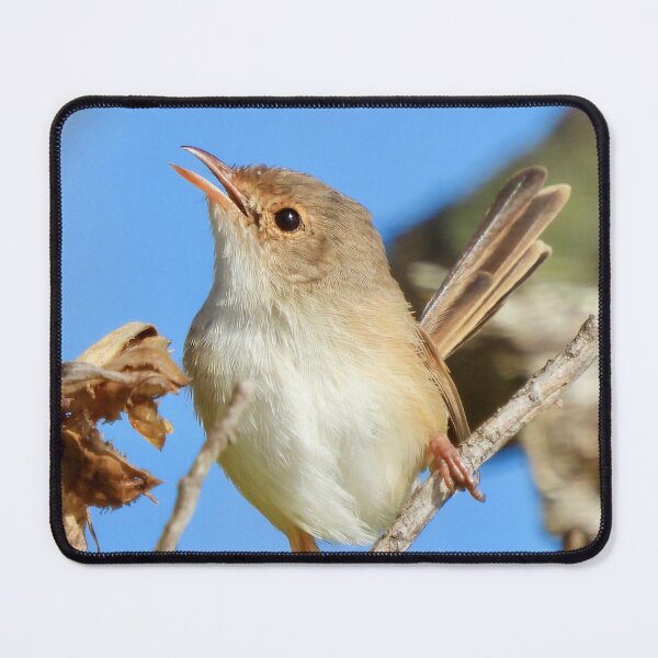 Item preview, Fairy Wren pose designed and sold by Mark Grimsley.