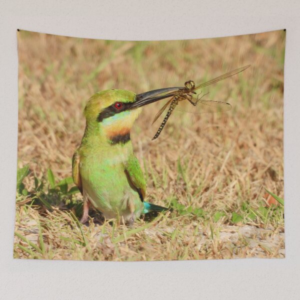 Item preview, Rainbow Bee-Eater with breakfast designed and sold by Mark Grimsley.