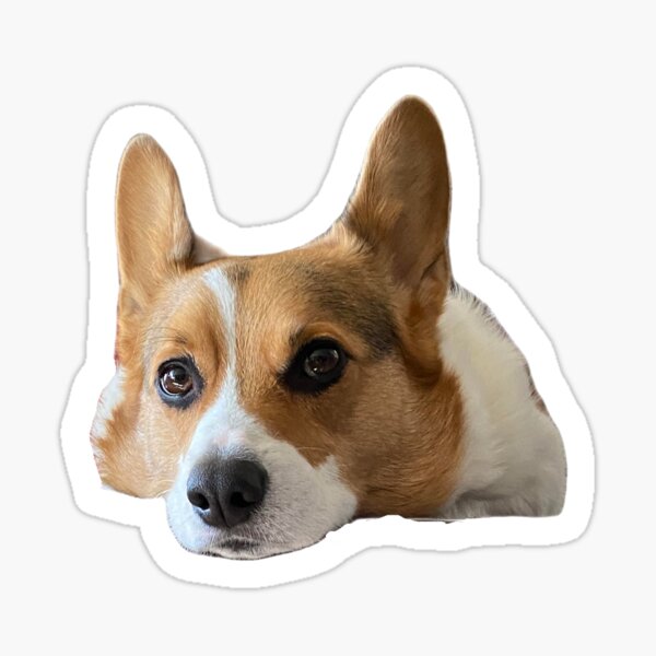 Item preview, Lazy corgi designed and sold by AlePala.