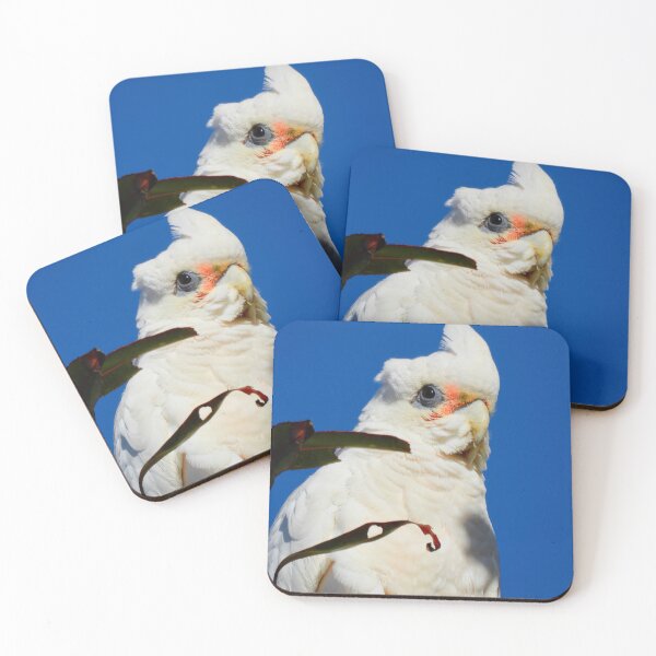 Item preview, Corella sitting up high in tree. designed and sold by Mark Grimsley.