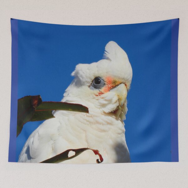 Item preview, Corella sitting up high in tree. designed and sold by Mark Grimsley.