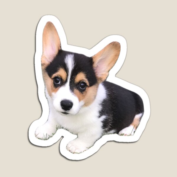 Item preview, Puppy corgi designed and sold by AlePala.