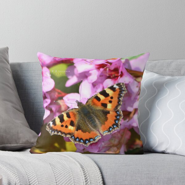 Item preview, " Small Tortoiseshell In Spring " designed and sold by Richard Couchman.