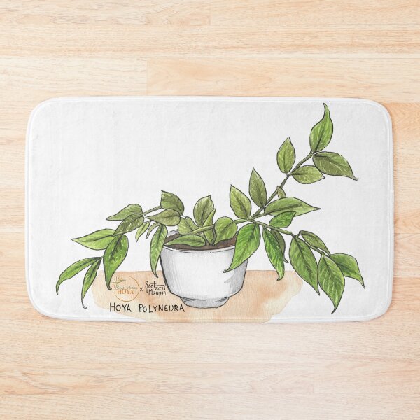 Item preview, Hoya Polyneura plant watercolor illustration for shirt printing, plant stickers, hoya plant stickers | Bay Area Hoya designed and sold by BayAreaHoyaShop.