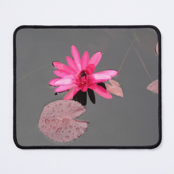 Item preview, Sacred Pink Water Lily - Large designed and sold by killies.
