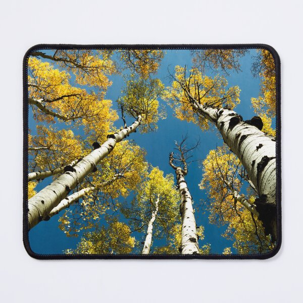 Item preview, Looking Up Through Aspen designed and sold by Danny Key.