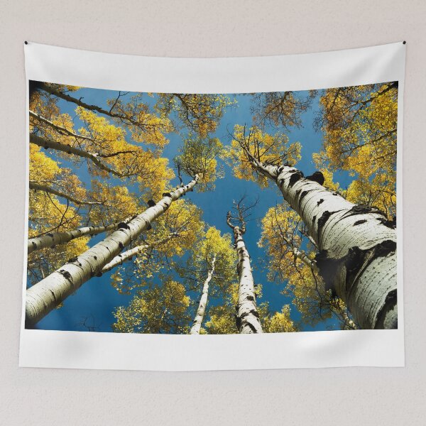 Item preview, Looking Up Through Aspen designed and sold by Danny Key.