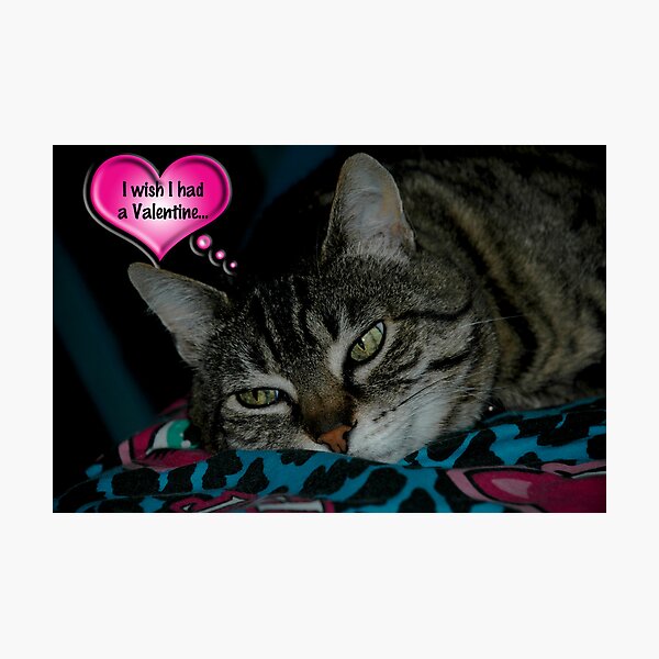Aperçu de l'œuvre Valentine Wish créée et vendue par warriorprincess.