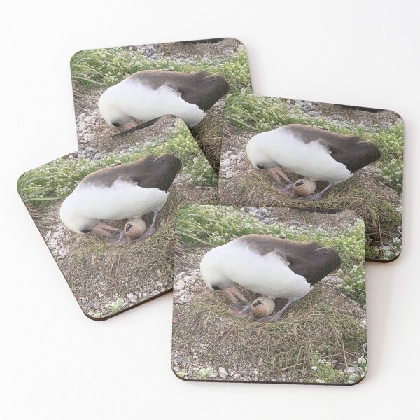 Item preview, Laysan Albatross Egg Hatching designed and sold by milkmobster.