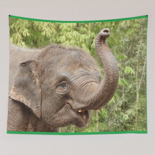 Item preview, Elephant showing of at zoo designed and sold by Mark Grimsley.