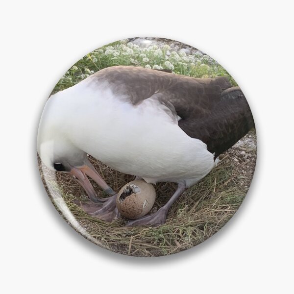 Item preview, Laysan Albatross Egg Hatching designed and sold by milkmobster.