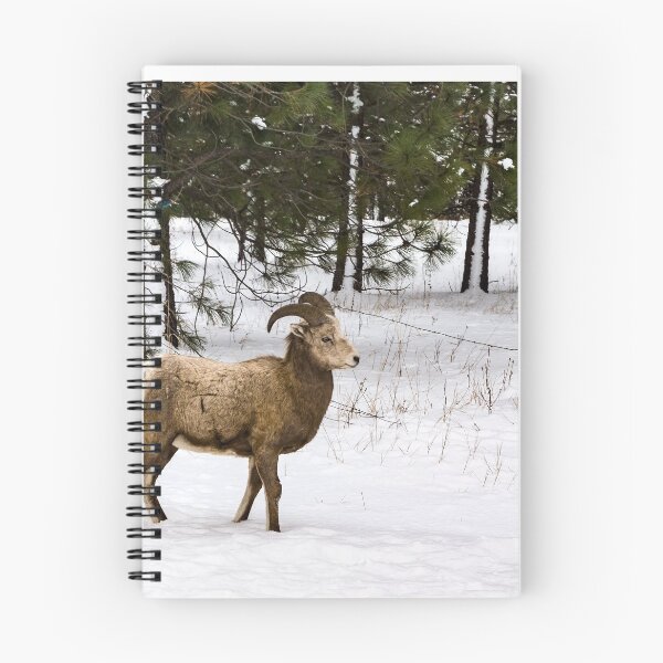 Item preview, Ovis canadensis designed and sold by Bryan Spellman.