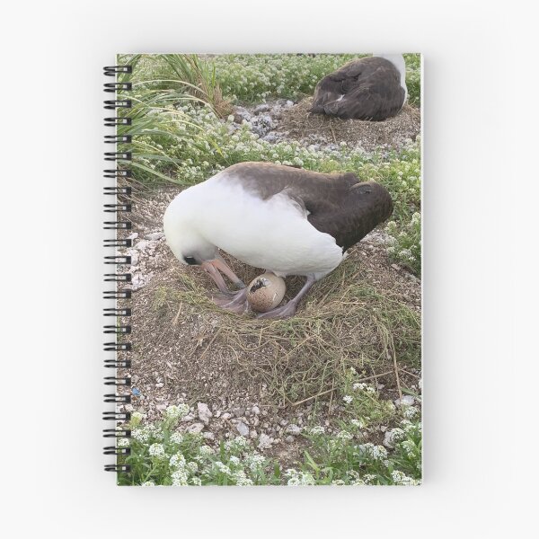 Item preview, Laysan Albatross Egg Hatching designed and sold by milkmobster.