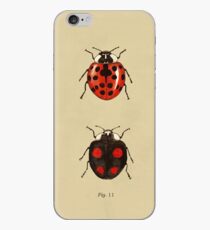 Coccinellidae entomology studies fig. 11 iPhone Case