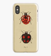 Coccinellidae entomology studies fig. 11 iPhone Case/Skin