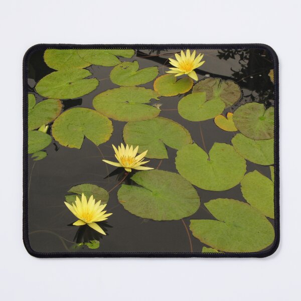 Item preview, Yellow Water Lilies designed and sold by killies.