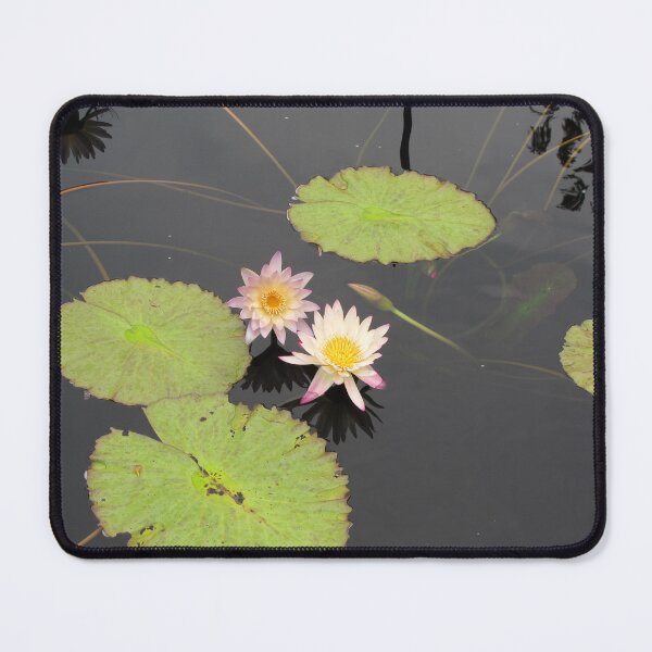 Item preview, Sacred Pink Water Lilies designed and sold by killies.