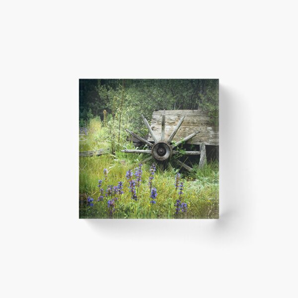 Item preview, Fading Away designed and sold by Danny Key.