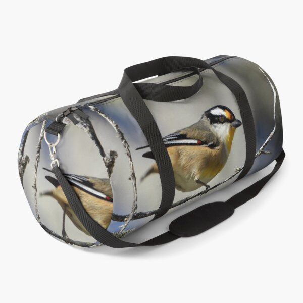 Item preview, Striated Pardalote on the beach designed and sold by Mark Grimsley.