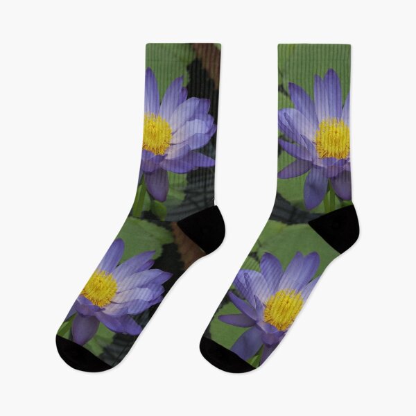 Item preview, Purple Water Lily - Large designed and sold by killies.