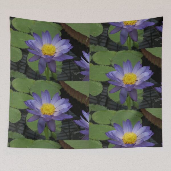 Item preview, Purple Water Lily - Large designed and sold by killies.