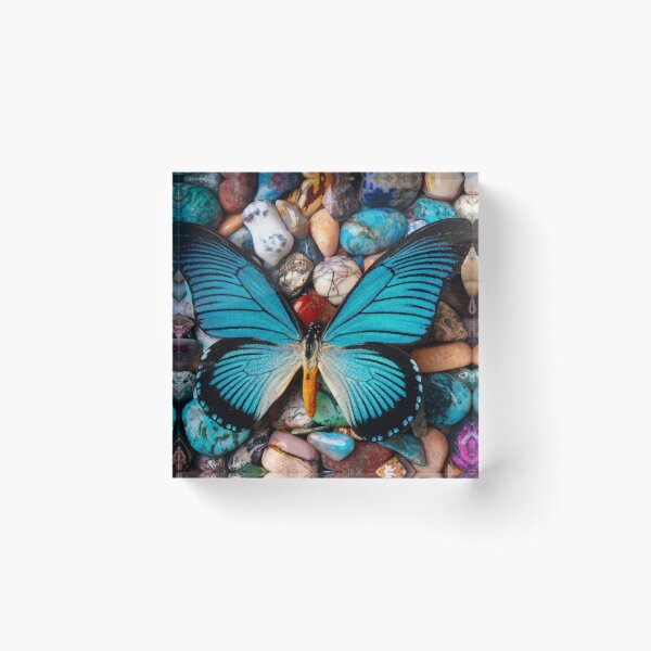 Item preview, Big Blue Butterfly On polished Stones designed and sold by Garry Gay.