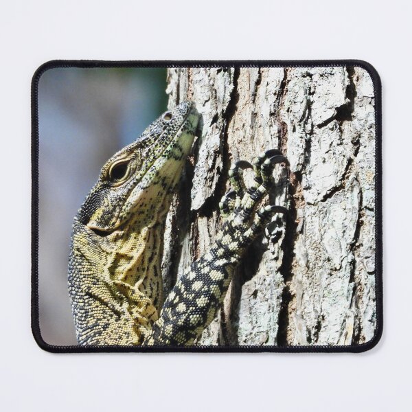 Item preview, Goanna monitor Lizard hugging a tree designed and sold by Mark Grimsley.