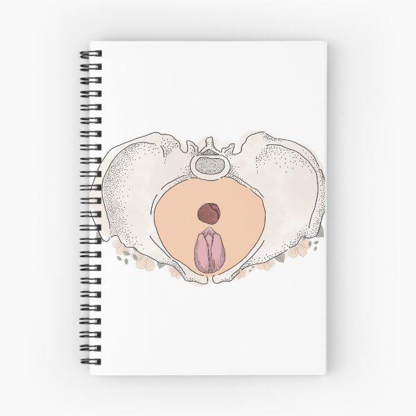 Item preview, Floral Pelvic Floor Anatomy designed and sold by Katie Barnett.
