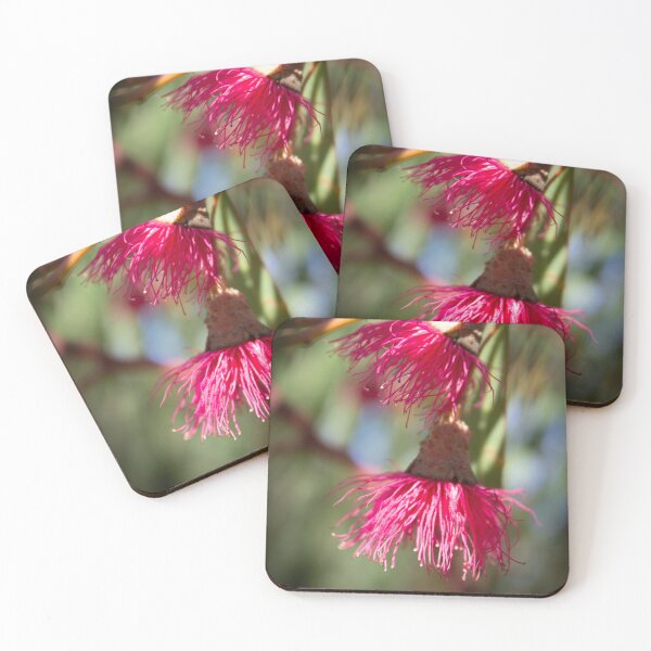 Item preview, Eucalyptus leucoxylon Flowers  designed and sold by Linda Sijpkes.