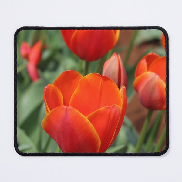 Item preview, Tulip Flowers designed and sold by Linda Sijpkes.