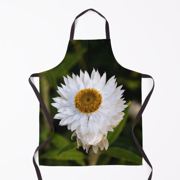 Item preview, Coronidium elata- Sunny Side Up Everlasting Daisy designed and sold by Linda Sijpkes.