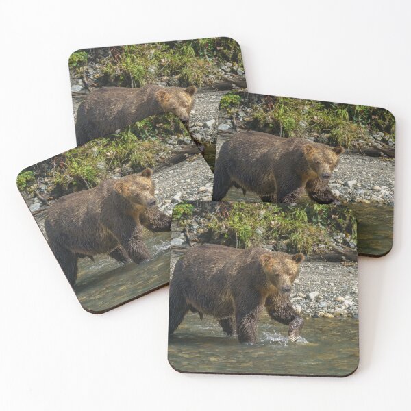 Item preview, Wild Grizzly Bear At The Orford River designed and sold by rawshutterbug.