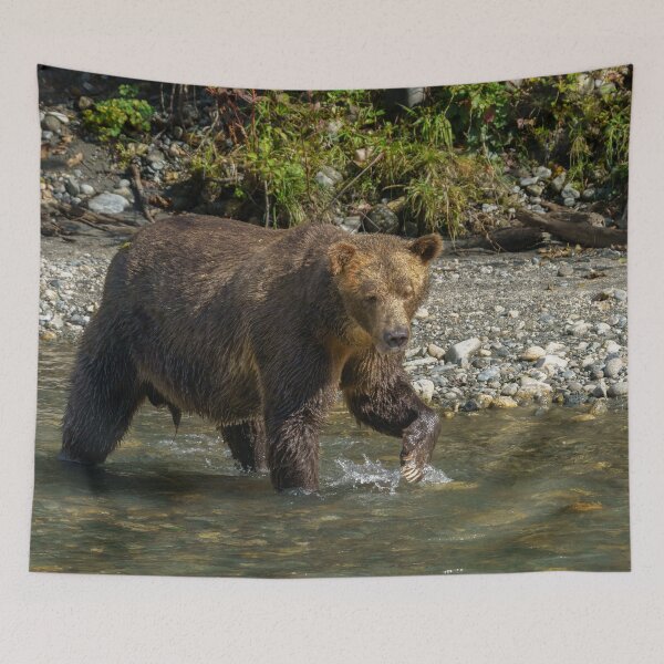 Item preview, Wild Grizzly Bear At The Orford River designed and sold by rawshutterbug.