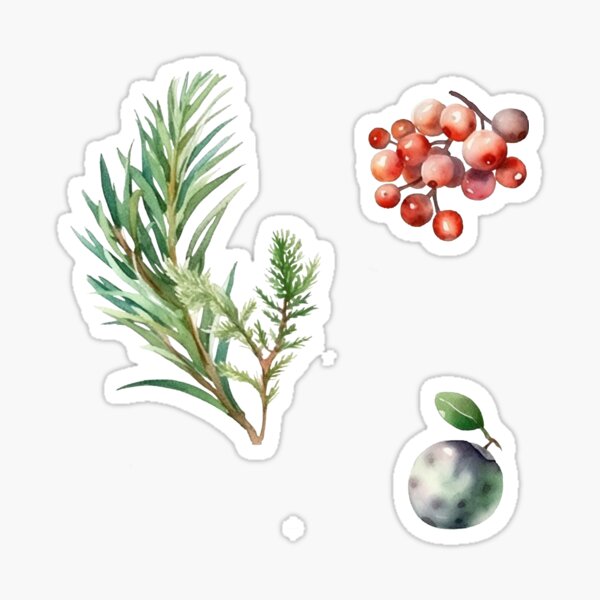 Artikel-Vorschau von Aufkleberpaket Neujahrsillustrationselement. Eine Sammlung modischer Pins. Weihnachten festlich, designt und verkauft von Anastasiia Yurevych.