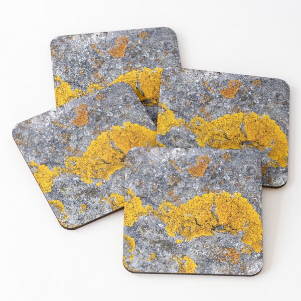 Item preview, lichen designed and sold by KathleenDawson.