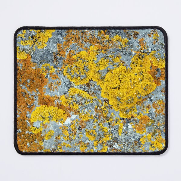 Item preview, lichen designed and sold by KathleenDawson.